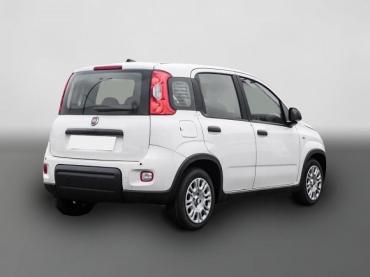Fiat Panda Mild Hybrid City Paket  Gelato Weiß Tageszulassung