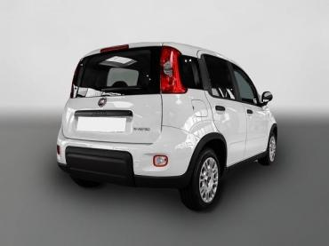 Fiat Panda Mild Hybrid City Paket  Gelato Weiß Tageszulassung