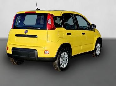 Fiat Panda Pandina Mild Hybrid 1.0 Yellow Klima PDC Gebrauchtwagen