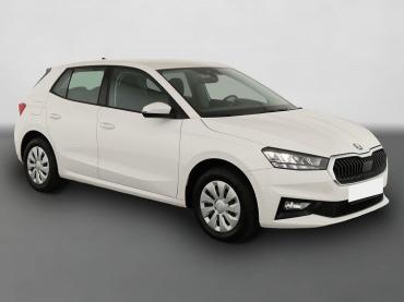 Skoda Fabia 1.0 TSI Selection, Park, Winterpaket, SmartLink, 4-J Garantie Tageszulassung