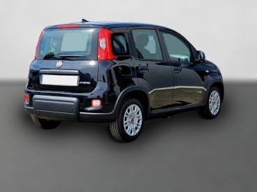 Fahrzeug ansehen: Fiat Panda Hybrid 1.0 GSE 51kw MY24 PDC Radio DAB sof Gebrauchtwagen Fiat Panda Hybrid 1.0 GSE 51kw MY24 PDC Radio DAB sof Gebrauchtwagen