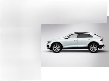 Audi Q8 (4MN)(07.2018->) 50 TDI quattro 21Zoll*Pano*Luftfederung Gebrauchtwagen