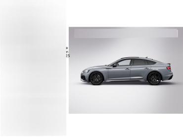 Audi RS5 2.9 TFSI quattro tiptronic performance Pano/HeadUp/B+O Gebrauchtwagen