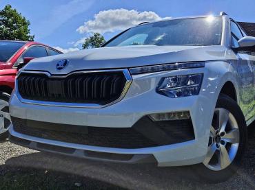Skoda Kamiq TSI DSG "130 Jahre" LED AppleCP Sitzheiz. Gebrauchtwagen