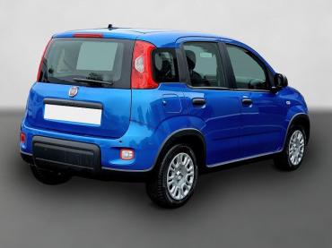 Fahrzeug ansehen: Fiat Panda Pandina Mild Hybrid 1.0 Klima PDC sofort V Gebrauchtwagen Fiat Panda Pandina Mild Hybrid 1.0 Klima PDC sofort V Gebrauchtwagen