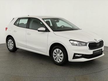 Skoda Fabia 1.0 TSI Selection, Tempomat, Park, Winterpaket, SmartLink, 4-J Garantie Tageszulassung