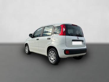 Fiat Panda Pandina 1.0 Icon *5 Sitzer Klimaanlage* Neuwagen