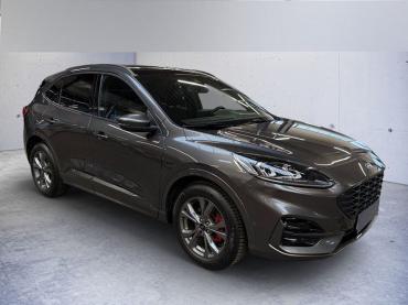 Ford Kuga 1.5 EcoBoost ST-LINE X Gebrauchtwagen