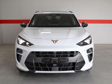 Cupra Terramar 2.0 TSI 7-Gang DSG 4x4 Tageszulassung