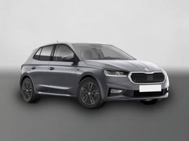 Skoda Fabia 1.0 TSI DSG Tour Navi*ACC*LED*ALU Gebrauchtwagen