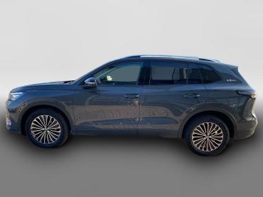 VW Tiguan 1.5 eTSI DSG Goal *AHK*LED*Kamera*Navi* Jahreswagen