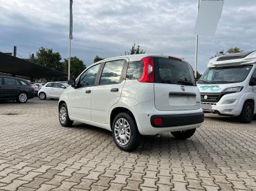 Fiat Panda Pandina 1.0 Icon *5 Sitzer Klimaanlage* Neuwagen