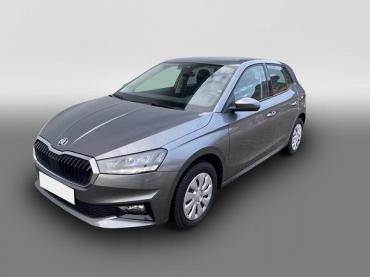 Skoda Fabia 1.0 TSI AT Selection, SHZ,Klima,Appcon. 85 kW (... EU Reimport Gebrauchtwagen