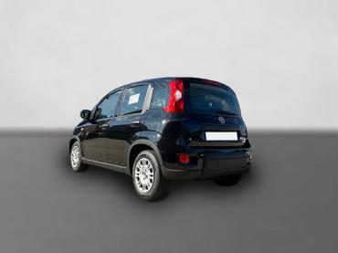 Fahrzeug ansehen: Fiat Panda Neues Modell 1.0 *5 Sitzer Klima PDC DAB* Gebrauchtwagen Fiat Panda Neues Modell 1.0 *5 Sitzer Klima PDC DAB* Gebrauchtwagen