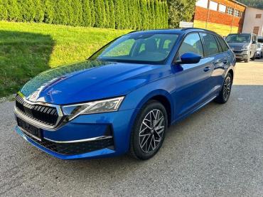 Skoda Octavia 2.0 TSI DSG Selection 4x4,ACC,SHZ,App.Con, LED,... EU Reimport Neuwagen
