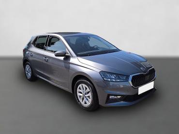 Skoda Fabia 1.0 MPI Selection LED RFK PDC Gebrauchtwagen
