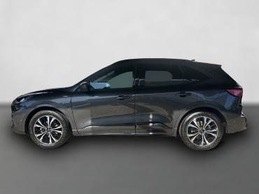 Fahrzeug ansehen: Ford Kuga ST-Line 1.5 ACC SHZ Navi Gebrauchtwagen Ford Kuga ST-Line 1.5 ACC SHZ Navi Gebrauchtwagen