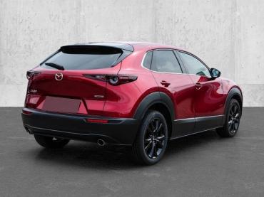 Mazda CX-30 2025 Homura 2.5L e-SKYACTIV G 140PS AT FWD HUD Navi Jahreswagen