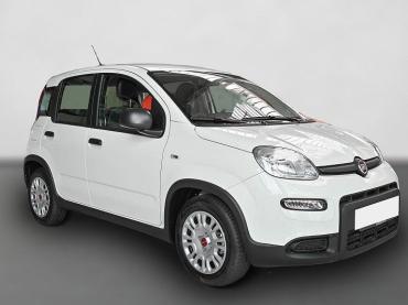 Fahrzeug ansehen: Fiat Panda 1.0 Mild Hybrid+KLIMA+RADIO+BT+Tageszulassung+ Gebrauchtwagen Fiat Panda 1.0 Mild Hybrid+KLIMA+RADIO+BT+Tageszulassung+ Gebrauchtwagen