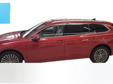 VW Passat 2.0 TDI DSG Elegance neues Modell Matrix/HuD/DCC/AHK Jahreswagen