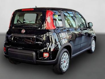 Fiat Panda Hybrid 1.0 GSE 51kw MY24 sofort Verfügbar! Gebrauchtwagen