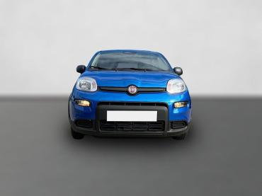 Fiat Panda Pandina 1.0 Icon *Radio Klima PDC 5Sitzer* Neuwagen