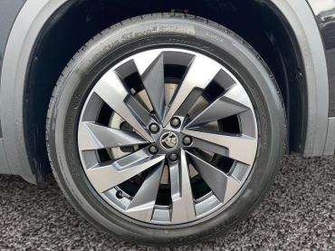 Skoda Kodiaq Selection 4x4 TDI DSG|7-S|PANO|AHK|5J-GAR Gebrauchtwagen