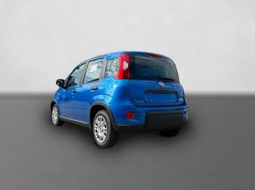 Fiat Panda Pandina 1.0 Icon *Radio Klima PDC 5Sitzer* Neuwagen
