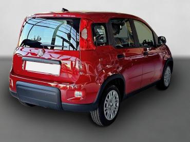 Fiat Panda Pandina Mild Hybrid 1.0 RED Klima PDC Gebrauchtwagen