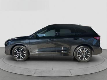 Ford Kuga ST-Line 1.5 ACC SHZ Navi Gebrauchtwagen