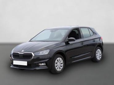 Skoda Fabia Dynamic 1.0TSI*LED ACC digCock SHZ VKZ-Erk Gebrauchtwagen
