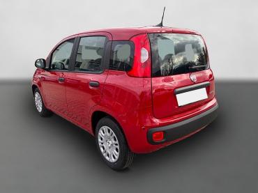 Fiat Panda Pandina 1.0 Icon *Radio Klima PDC 5Sitzer* Neuwagen