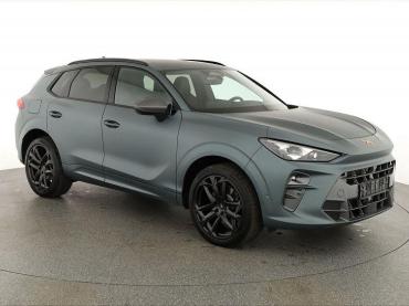 Cupra Terramar 2.0 TSI DSG 4Drive Americas CUP, HD-Matrix, Leder, Sennheiser, 5-J Garantie Tageszulassung