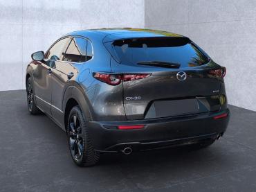 Mazda CX-30 2.5 e-SKYACTIV-G Homura 2WD Automatik Navi Jahreswagen