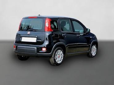 Fiat Panda Hybrid 1.0 GSE 51kw MY24 sofort Verfügbar! Gebrauchtwagen