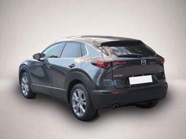 Fahrzeug ansehen: Mazda CX-30 2.5 e-SKYACTIV-G Takumi 2WD Automatik Navi Mazda CX-30 2.5 e-SKYACTIV-G Takumi 2WD Automatik Navi