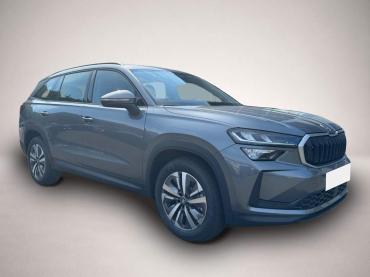 Skoda Kodiaq Selection TDI Navi el. Sitz * Memory Kamera