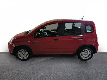Fiat Panda Pandina City Paket DAB Spurhalteass. Verkehrszeichenerk. Notbremsass. PDC Gebrauchtwagen