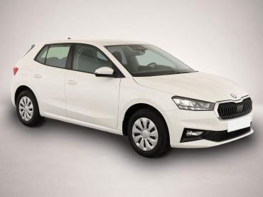 Skoda Fabia 1.0 TSI Selection * Tempomat * Park * Winterp