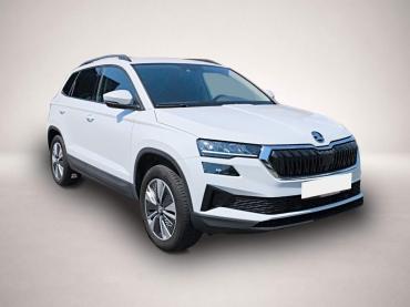 Skoda Karoq 2.0 TDI DSG Ambition 4x4 NAVI RFK PDC SMAR
