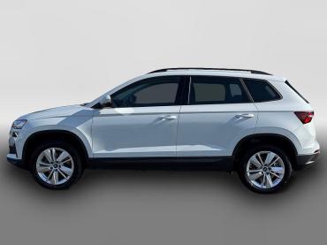 Skoda Karoq Selection TDI DSG|TOTWINKEL|NAV|KAMERA|ACC