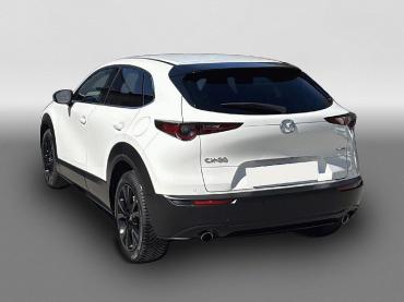 Mazda CX-30 2.5 e-SKYACTIV-G Homura 2WD Bluetooth Navi Gebrauchtwagen