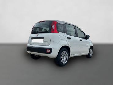 Fiat Panda Pandina 1.0 Icon *5 Sitzer Klimaanlage* Neuwagen