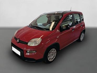 Fiat Panda Pandina City Paket DAB Spurhalteass. Verkehrszeichenerk. Notbremsass. PDC Jahreswagen