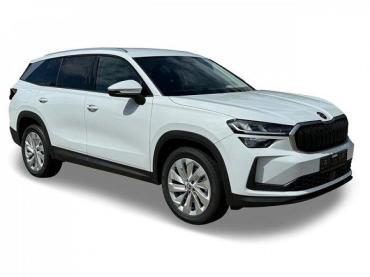 Skoda Kodiaq Selection DSG+NAVI+19\'\' ALU+ACC+KAMERA 2.0 TDI ... EU Reimport Tageszulassung