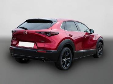 Mazda CX-30 2025 Homura 2.5L e-SKYACTIV G 140PS AT FWD HUD Navi Gebrauchtwagen