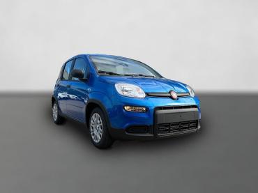 Fahrzeug ansehen: Fiat Panda Neues Modell 1.0 *5 Sitzer Klima PDC DAB* Gebrauchtwagen Fiat Panda Neues Modell 1.0 *5 Sitzer Klima PDC DAB* Gebrauchtwagen