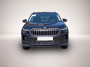 Skoda Kodiaq 2.0 TDI 4x4 DSG Selection AHK HUD NAV RFK