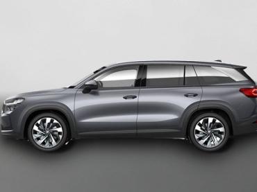 Skoda Kodiaq Skoda Selection 2.0 TDI 142 kW (193 PS) 7-Gang-DSG 4x4 2.0 TDI 7-Gang-DSG 4x4 Neuwagen