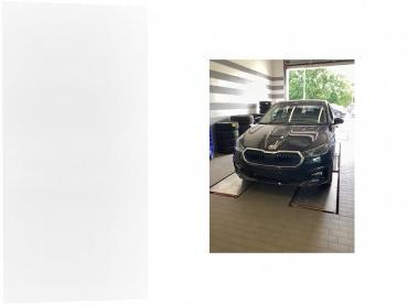 Skoda Fabia 1.0 TSI Selection LM16,SHZ.,Climatronic Gebrauchtwagen
